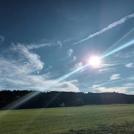 Superior Waldblick *