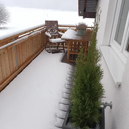 Superior Waldblick